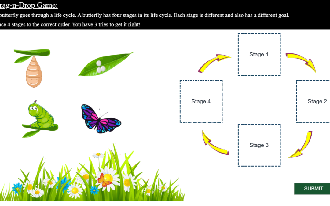 Butterfly Lifecycle