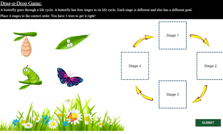 butterfly lifecycle