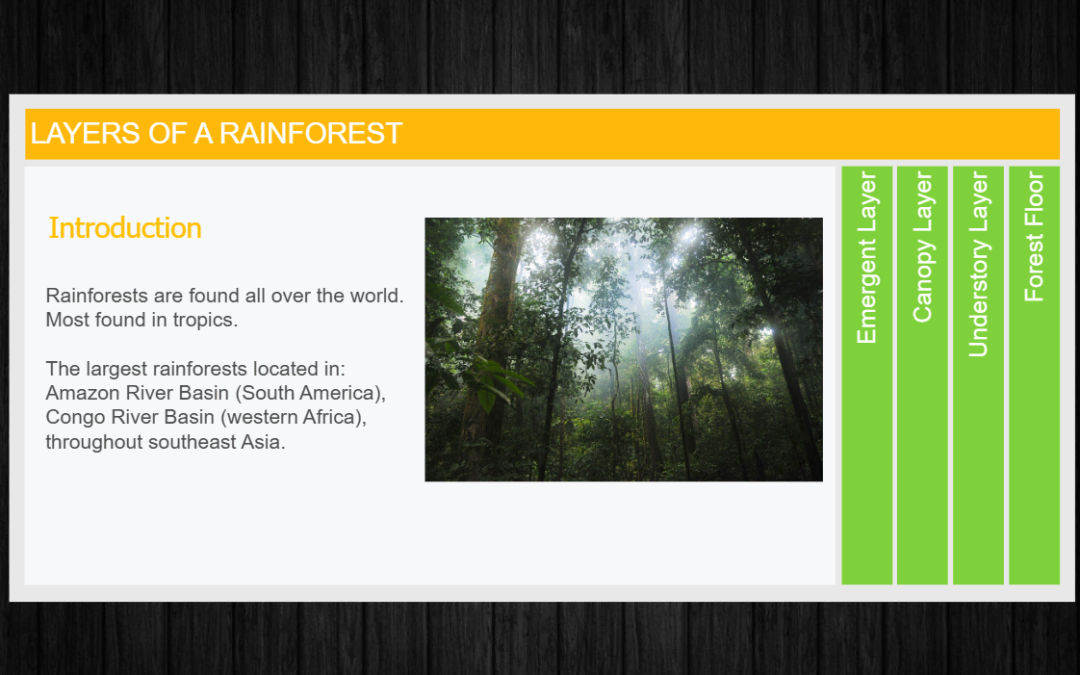 Layers of a Rainforest – Accordion