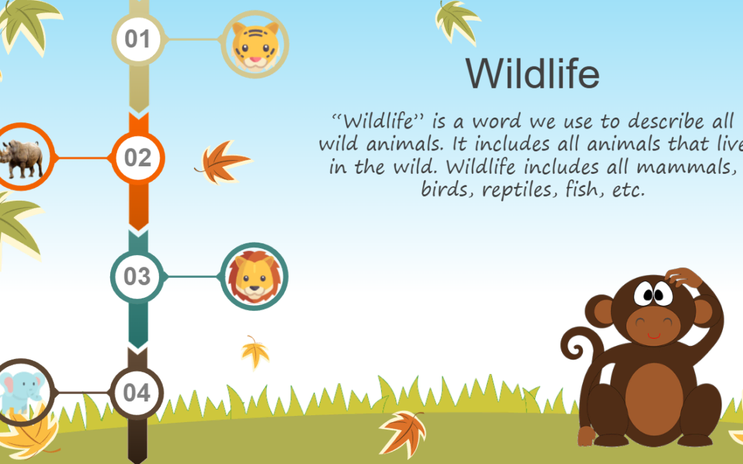 Wildlife
