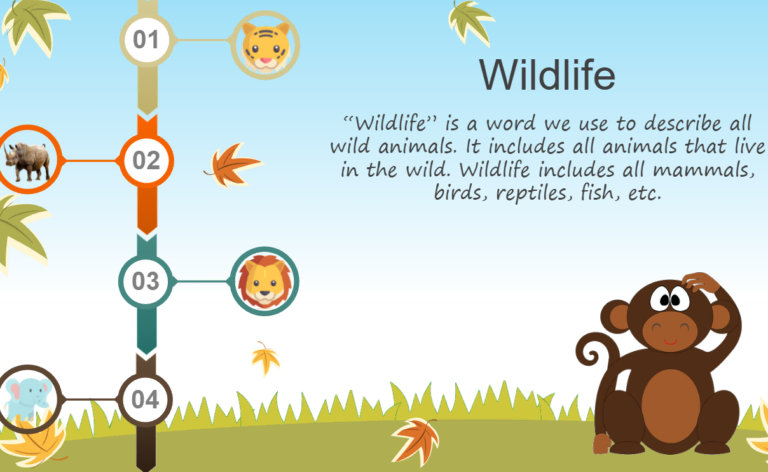 wildlife