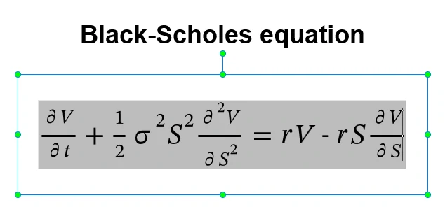 black-scholes equation