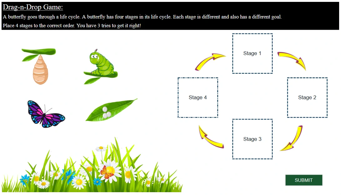 Developing On-screen Activity for Interactive eLearning