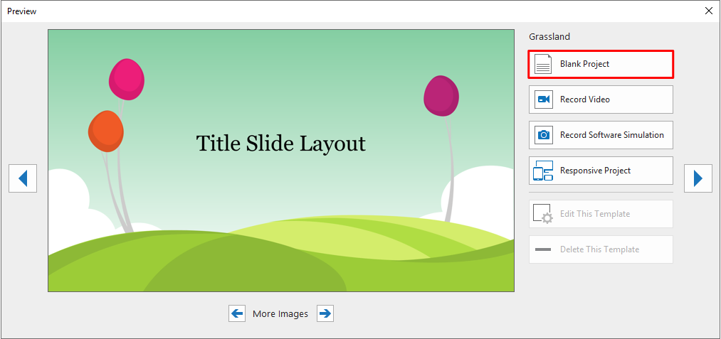 Click any of the themes and select Blank Project from the pop-up dialog.