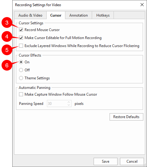 Record Settings for video