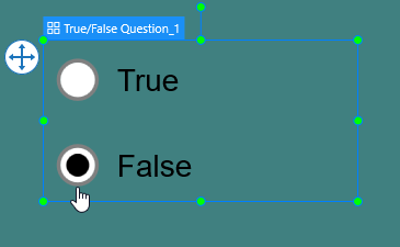 Set Correct Answer for True False Questions