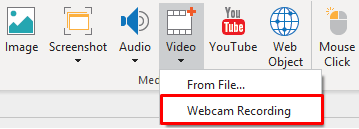 Record webcam seperately