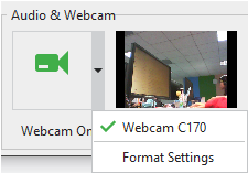 Webcam section