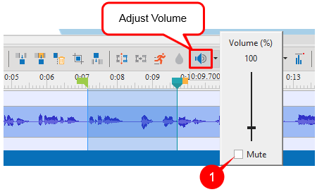 Click Adjust Volume button to change audio volume
