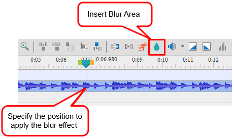 Specify the position to apply the blur effect and click the Insert Blur Area button