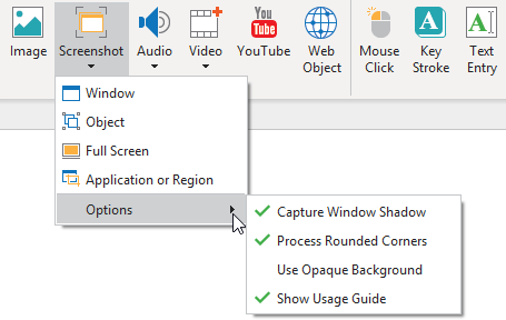 You can capture windows, objects, the full screen (also the desktop), applications, or regions of your screen.