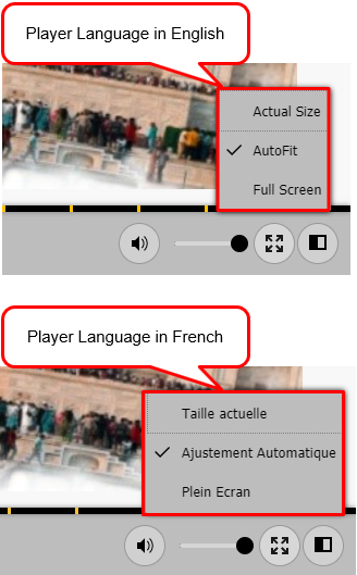 Player language in English and French