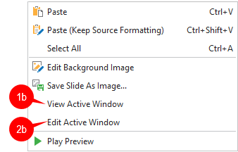 Right-click anywhere on the Canvas and select View Active Window (1b).
