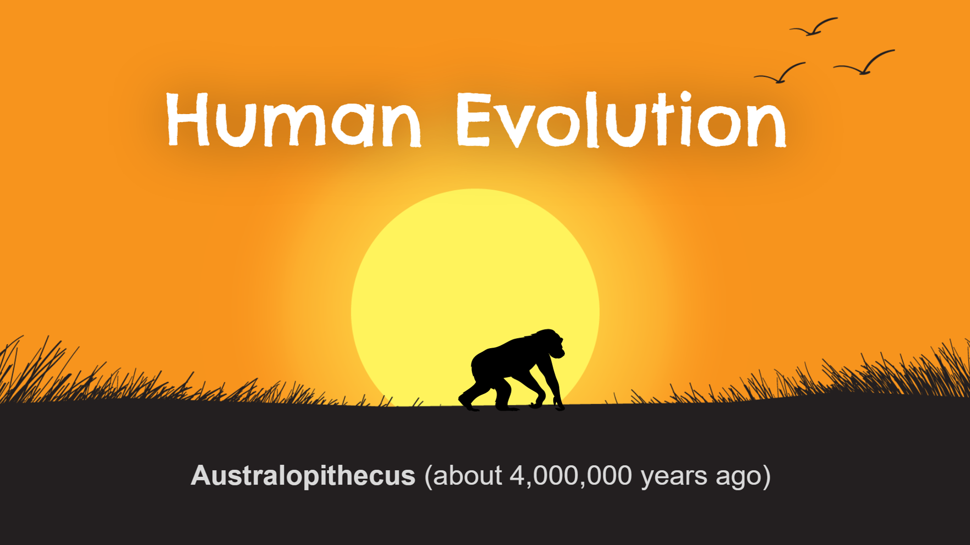 Human Evolution - Atomi Systems, Inc.