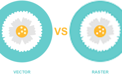 Vector vs Raster Graphics: What are The Differences?