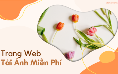 Những Trang Web Tải Ảnh Miễn Phí Chất Lượng Cao