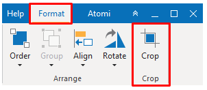 Crop Format tab