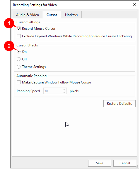 enable recording mouse cursor