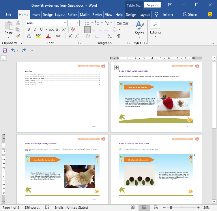 tạo sách hướng dẫn trồng dâu tây hoàn chỉnh dưới dạng Microsoft Word