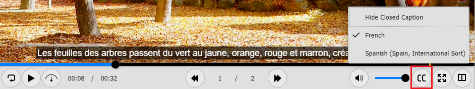 Subtitle Toggle Button