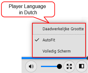 Customize the Language of the HTML5 Player