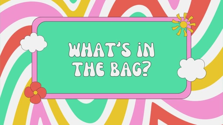 what-in-the-bag-game