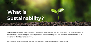 Eco Friendly Lifestyles