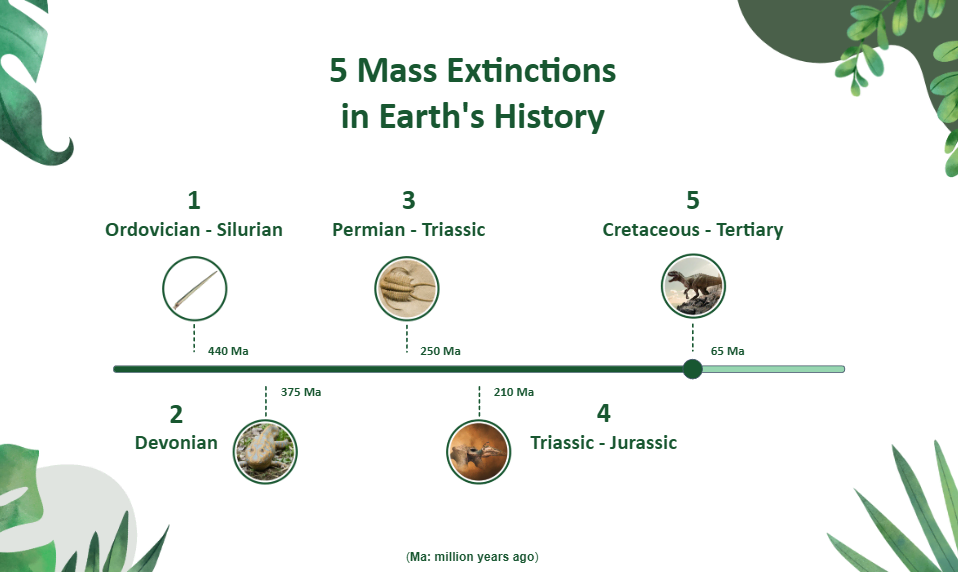 Timeline Slider