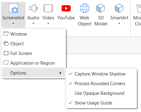 Customize Screenshot Options