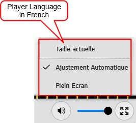Customize the Language of the HTML5 Player