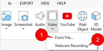 Insert Video Objects