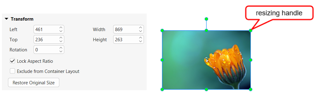 adjust-image-size-resizing-handle
