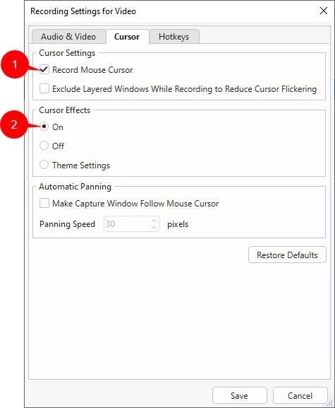 enable recording mouse cursor