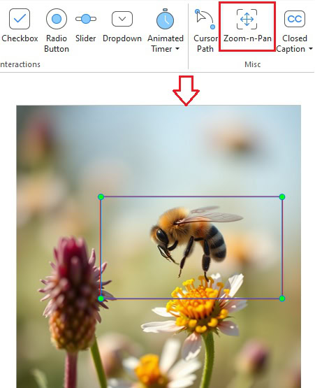 insert a zoom-n-pan object to the Canvas