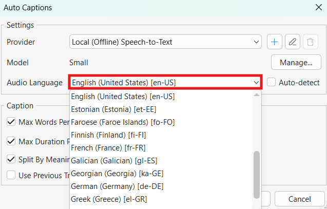 Auto Captions settings showing the audio language selection menu in a speech-to-text application.